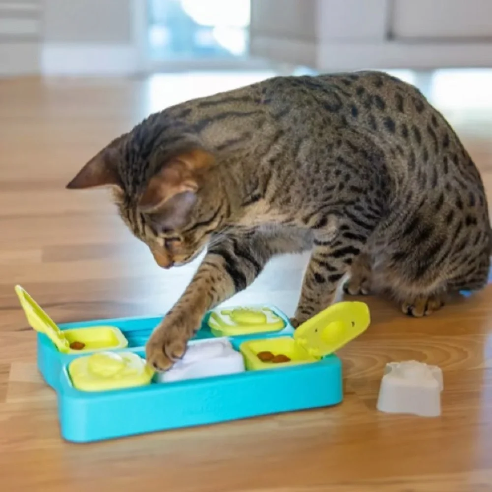 Catstages Kitty Cube Game Cat Toy